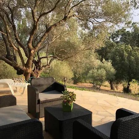 Petite Maison En Pierre *